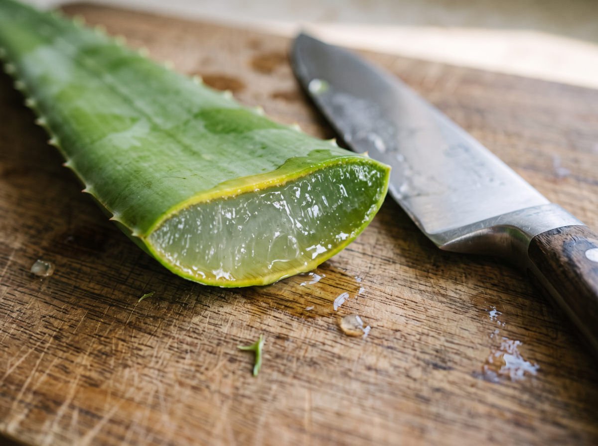 A cut aloe leaf showing the skin and the clear inner gel